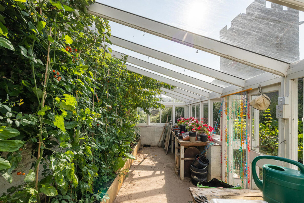 Ưu nhược điểm của tấm polycarbonate  với ưu điểm lấy sáng hiệu quả